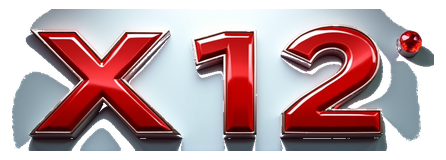 x 12 logo
